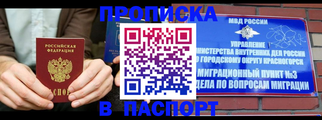 где прописаться в Поворино